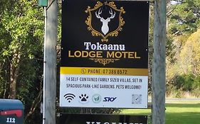 Tokaanu Lodge Motel